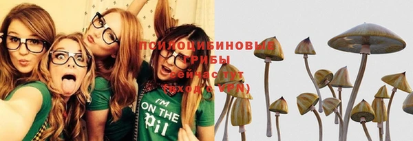 эйфоретик Пересвет