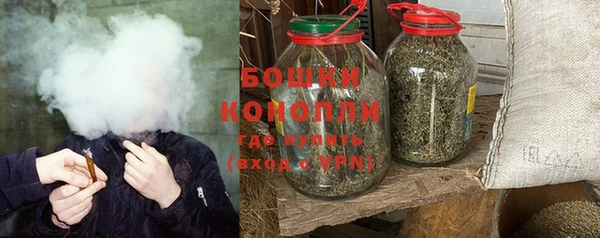 сатива Покачи