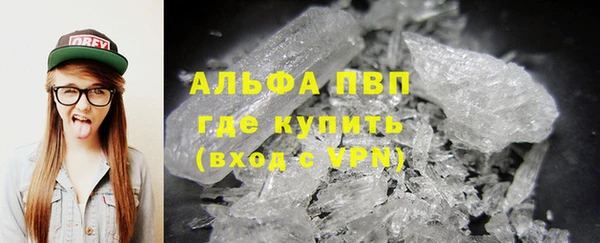 стаф Богородск