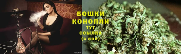эйфоретик Пересвет