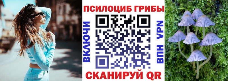 omg ссылки  нарко площадка клад  Псилоцибиновые грибы GOLDEN TEACHER  Остров 